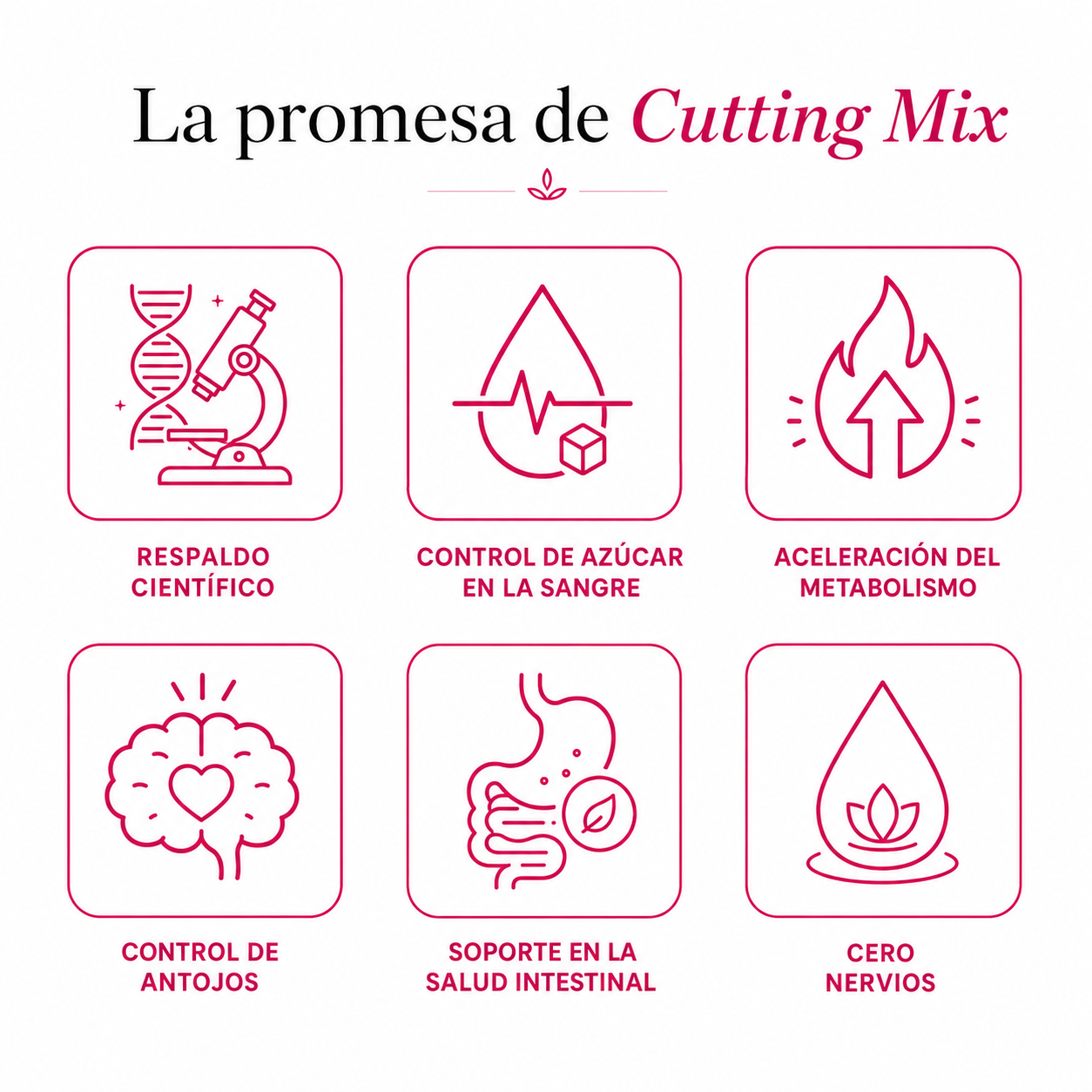 Cutting Mix infografía banner 2