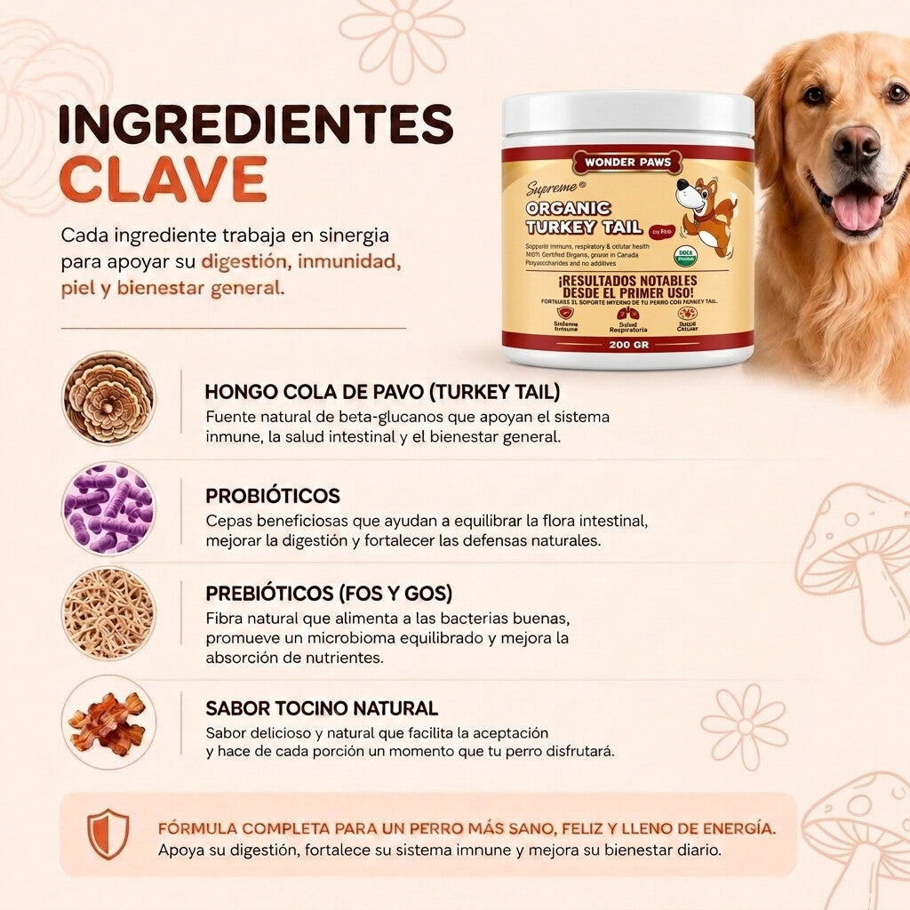 Ingredientes clave