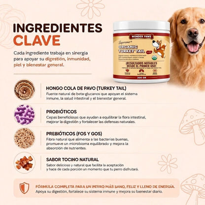 Ingredientes clave