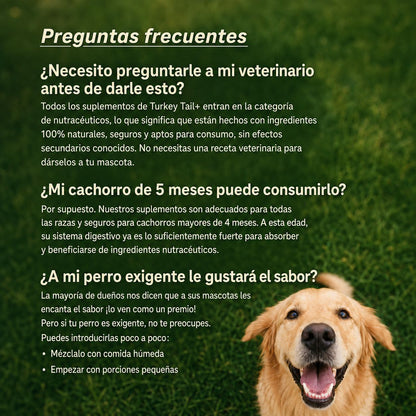 Preguntas frecuentes