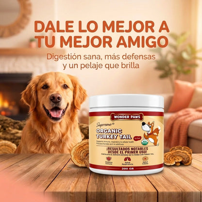 Dale lo mejor